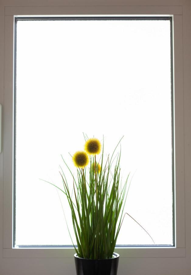פודגורה Sea View Ela Apartments מראה חיצוני תמונה